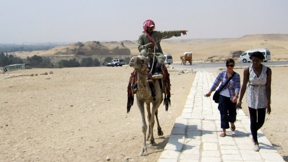 Camel Touts