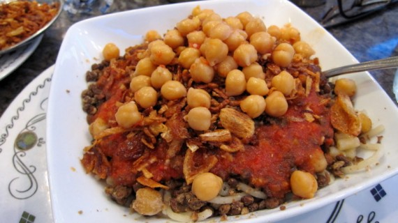 Abou Tarek Koshary