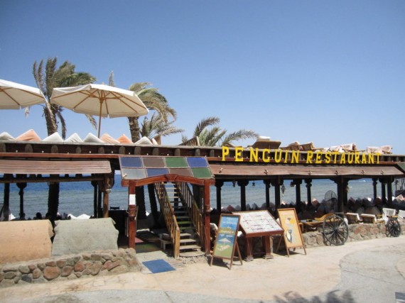 Penguin Restaurant Dahab Egypt