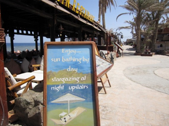 Penguin Restaurant Dahab Egypt