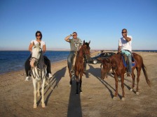 Horseback Riding in Dahab
