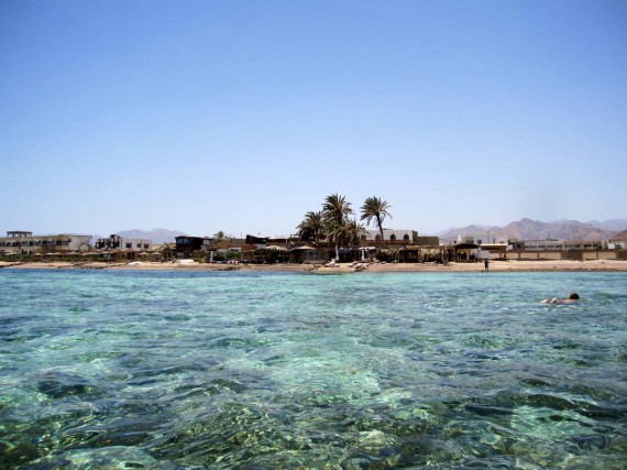 Eel Gardens Dahab Egypt Eel Gardens Dahab Egypt