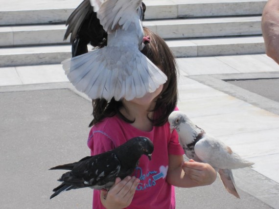 Pigeon Girl Pigeons at the Parliament in Athens