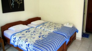Little Pond Homestay