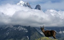 Chamonix Summer