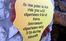 Cheetah Hunt Facts Cheetah Hunt Facts