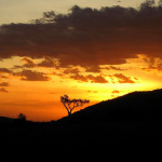 Masai Mara Sunset