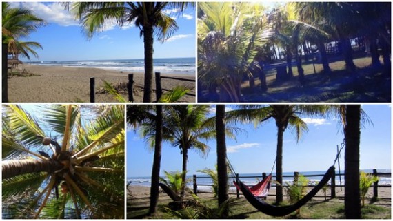 Quetzal Playa Collage