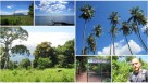 Ometepe Featured