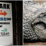 PheZulu Crocodile Park - South Africa