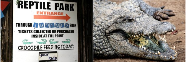 PheZulu Crocodile Park!
