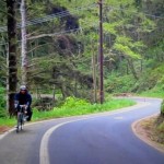 Windy Roads Featured
