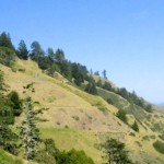 Pacific Coast Bike Tour