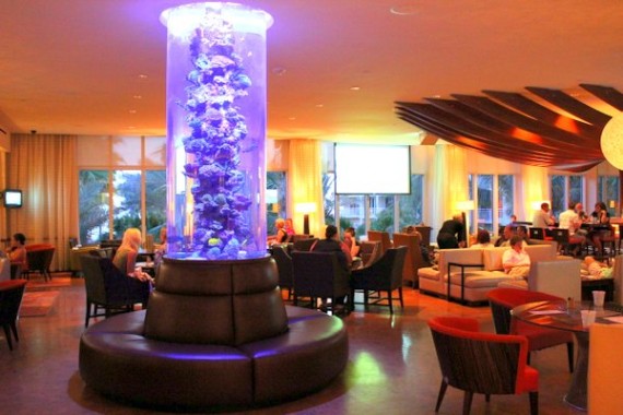 Marco Island Marriott Beach Resort