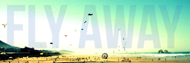 FLY AWAY