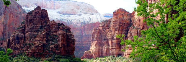 Zion National Park: 14 Stunning Photos That You Have To See!