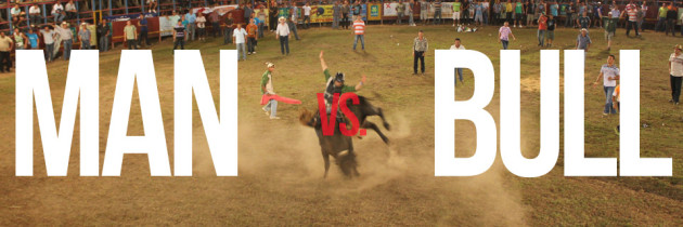 VIDEO: Man vs. Bull – BULL WINS!