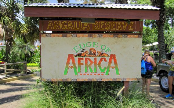 Edge of Africa - Busch Gardens Tampa