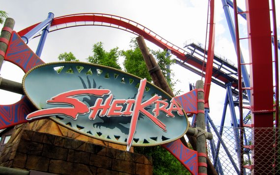 SheiKra - Busch Gardens Tampa