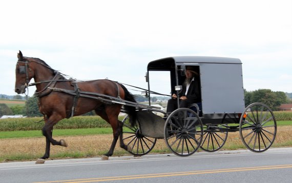 Horse and Buggy Horse and Buggy