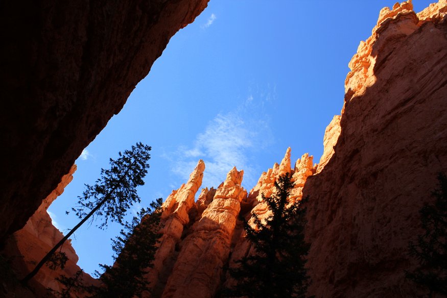 Bryce Canyon National Park - Navajo Trail