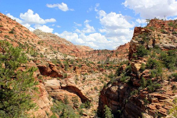 Canyon Overlook Trail - Zion National Park Canyon Overlook Trail - Zion National Park