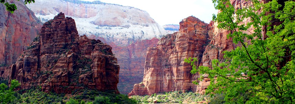 Zion National Park: 14 Stunning Photos That You Have To See!