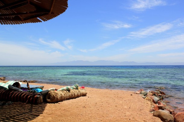 Eel Gardens Dahab, Egypt