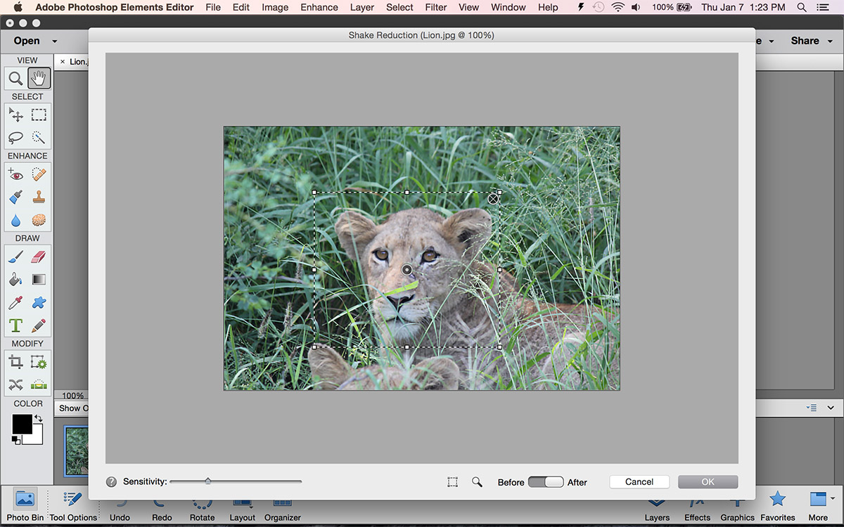 Adobe Photoshop Elements: How to Use the Shake Reduction Tool