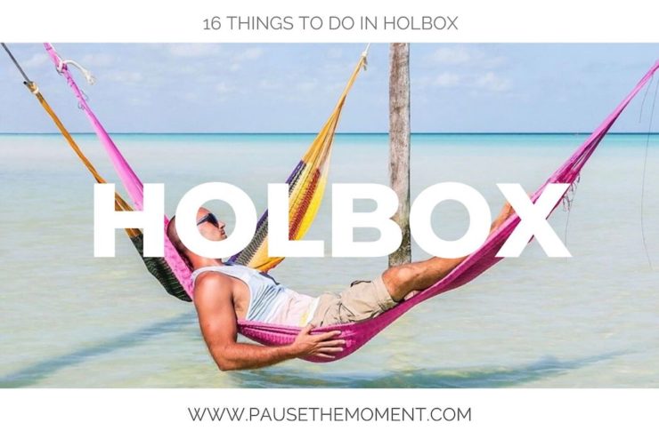 16 Things to do in Holbox