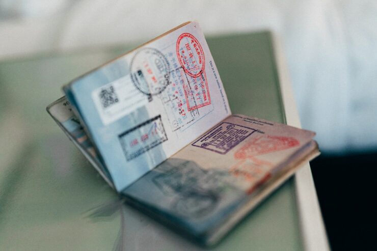 Everything Travelers Need to Know About Electronic Visas