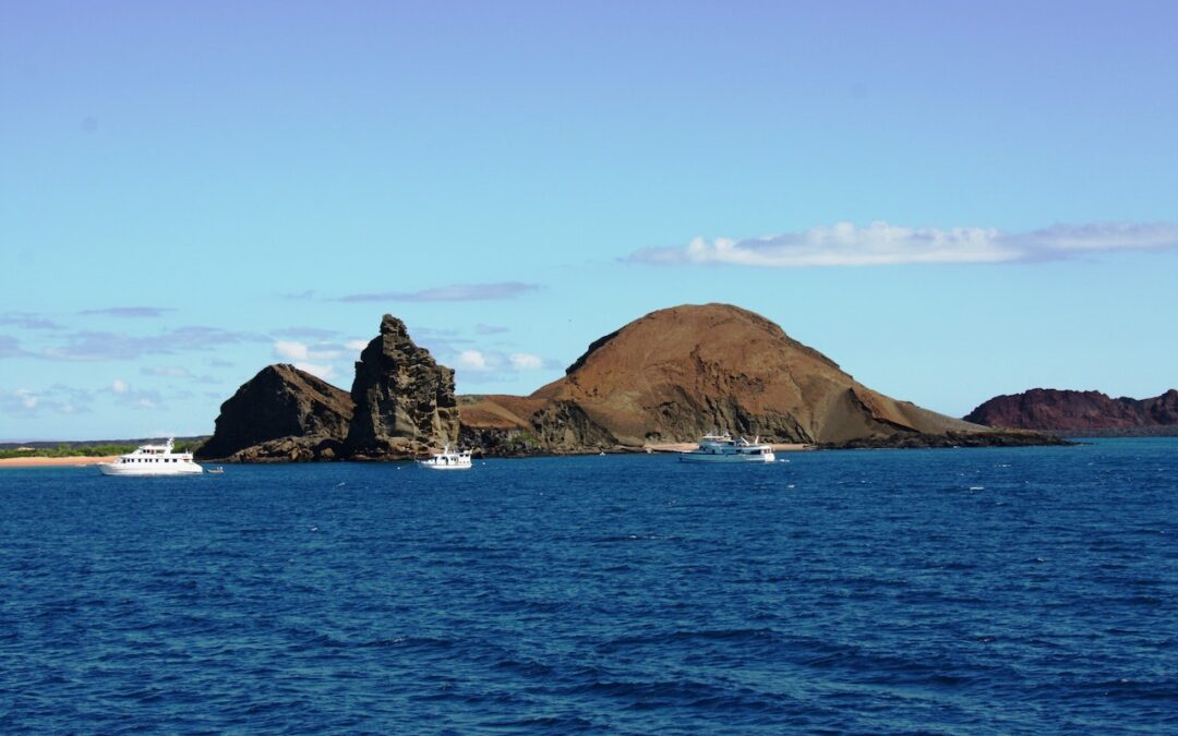 Planning a Galapagos Cruise Itinerary: All You Need To Know