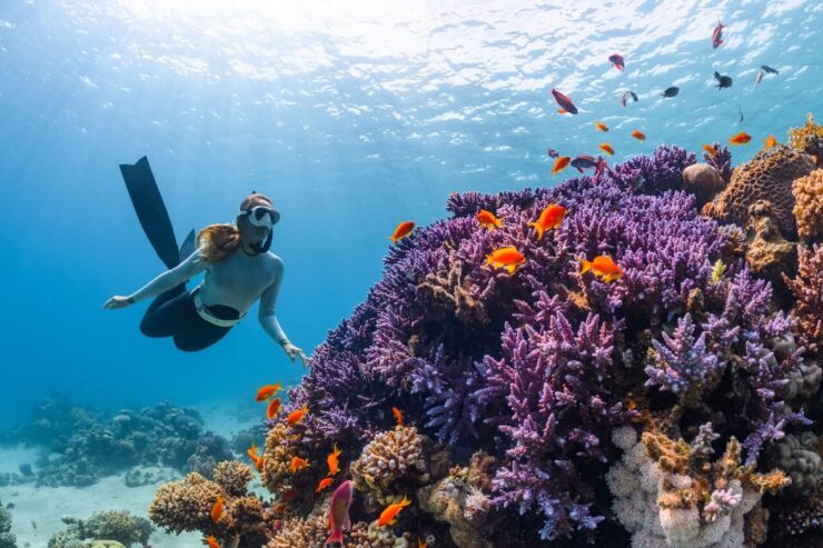 Ocean-Friendly Adventures: Snorkeling and Diving in Hawaii's Marine Sanctuaries