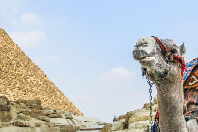 Experience Egypt Tour - Pyramids of Giza